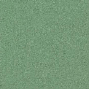 Liberty Celedon Green by Enduratex Designer Fabric