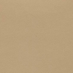 Liberty Coffee Cream by Enduratex Designer Fabric