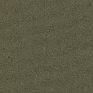 Liberty Eucalyptus by Enduratex Designer Fabric