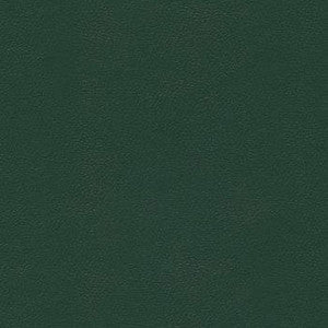 Liberty Forest Green by Enduratex Designer Fabric