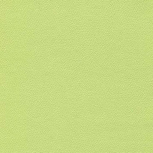 Liberty Light Lime by Enduratex Designer Fabric