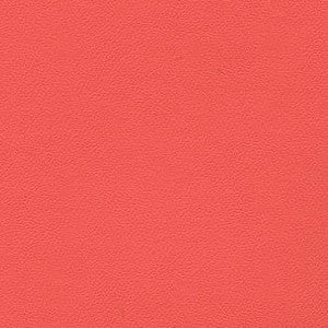 Liberty Petal by Enduratex Designer Fabric