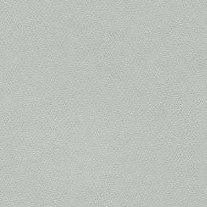 Liberty Platinum by Enduratex Designer Fabric