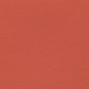 Liberty Rosetan by Enduratex Designer Fabric