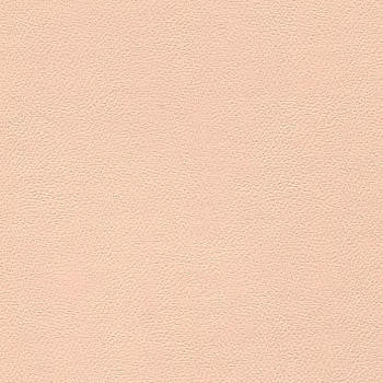 Liberty Shell 1008512 by CGPC Designer Fabric See sample 100% Vinyl USA or Imported Water-based cleaning agents and foam may be used for cleaning. Cleaning by a professional cleaning service is recommended. </p><p>Repeat: Horizontal: and Vertical: 54" - Swanky Fabrics -