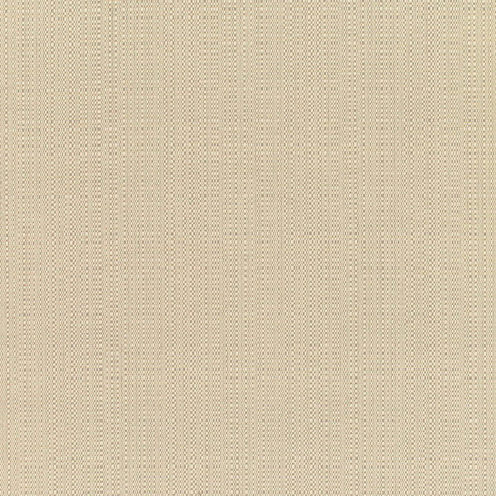 8300 Champagne Linen by Sunbrella Designer Fabric Cushion Furniture Drapery Fabrics > Sunbrella Specialty Weaves 100% Acrylic USA or Imported n/a 54" - Swanky Fabrics -