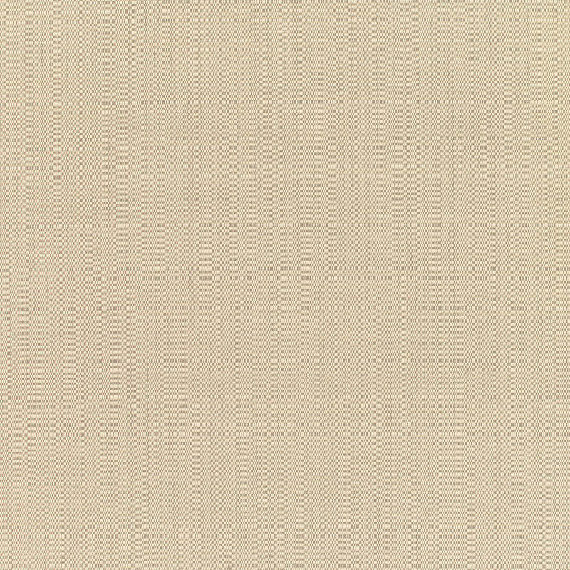 8300  Champagne Linen by Sunbrella Designer Fabric our website for purchase 100% Sunbrella Acrylic USA (see sample) n/a 54"  - Swanky Fabrics -