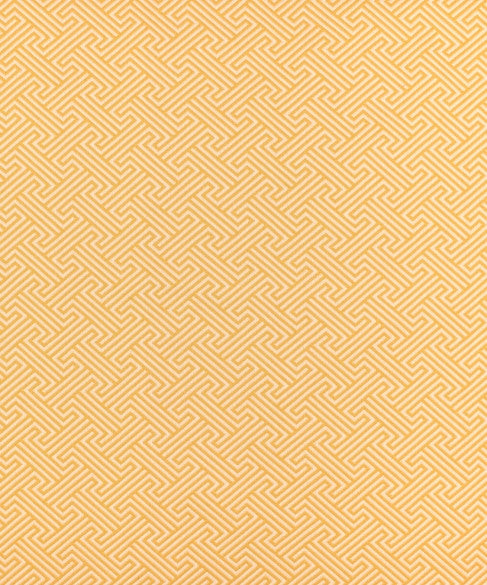 Arundel 51215 by Barrow  Designer Fabric Barrow Gallery 69% Cotton, 31% Polyester (F) China 50,000 Double Rubs </p><p>Repeat: Horizontal: 1-3/4" and Vertical: 1-7/8" 56"  - Swanky Fabrics -