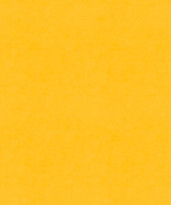 M9989 51201 by Barrow  Designer Fabric