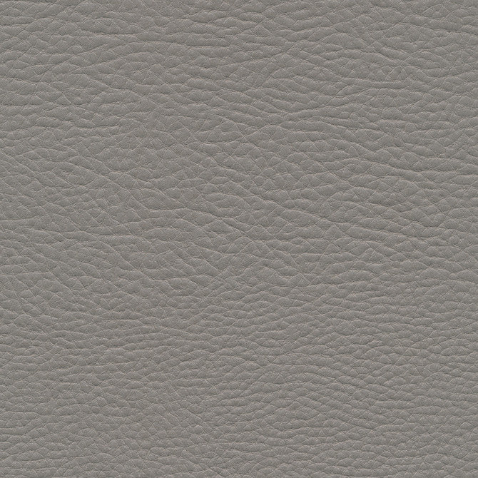 Meadowland-Nj # 953 Steel by Maxwell Designer Fabric Memos Only-Coated Fabrics FACE: 98% POLYESTER
2% SILICONE KOREA 54" - Swanky Fabrics -