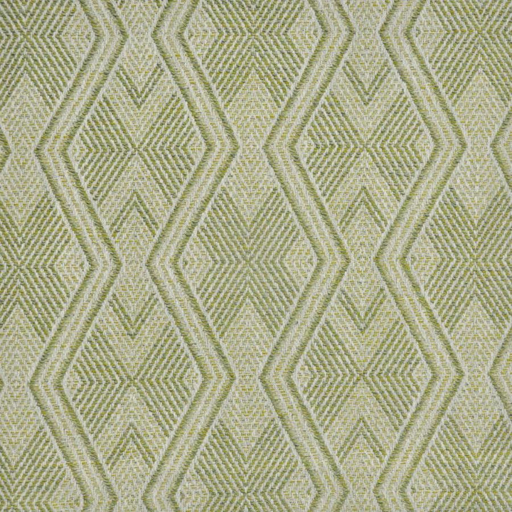 Marion # 952 Frond by Maxwell Designer Fabric Performance Wovens-Vol. Vi Peachtree 96% UV POLYESTER 4% UV RECYCLED POLYESTER USA V-7.4" H-7.1" 56" - Swanky Fabrics -