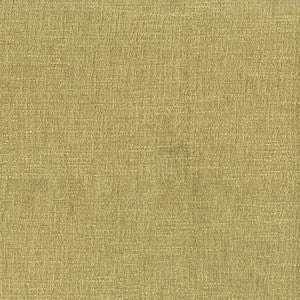 Conductor 205 Lichen by ABBEYSHEA Designer Fabric