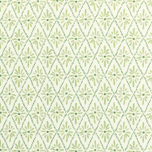 Malina Grass by Kravet Basics Designer Fabric