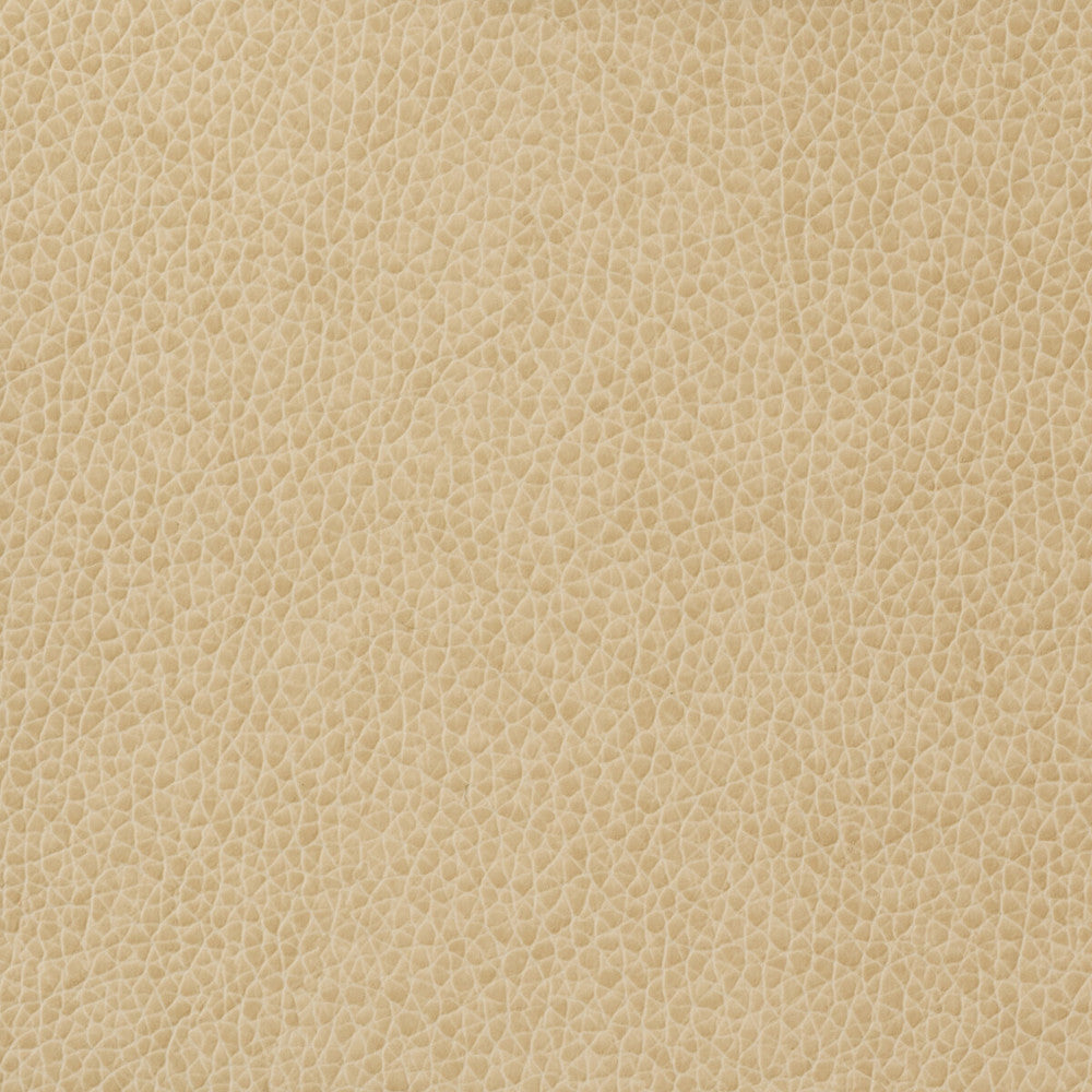 Matter-1116 by Kravet Basics Designer Fabric - POLYURETHANE - 100% China HEAVY Horizontal: - and Vertical: - 54 - Swanky Fabrics -