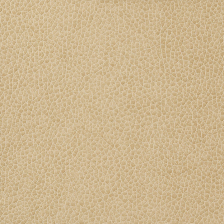 Matter-1116 by Kravet Basics Designer Fabric - POLYURETHANE - 100% China HEAVY Horizontal: - and Vertical: - 54 - Swanky Fabrics -