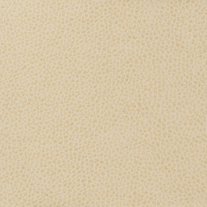 Matter-111 by Kravet Basics Designer Fabric - POLYURETHANE - 100% China HEAVY Horizontal: - and Vertical: - 54 - Swanky Fabrics -