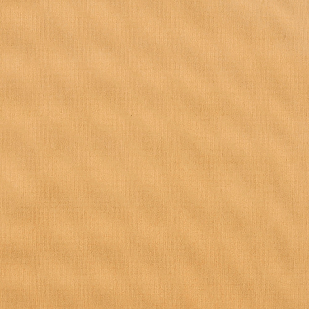 Maverick 12J7031 by JF Crypton Designer Fabric Crypton Binder 100% Polyester China 50000 Horizontal: and Vertical: 54 - Swanky Fabrics -