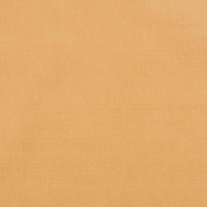 Maverick 12J7031 by JF Crypton Designer Fabric Crypton Binder 100% Polyester China 50000 Horizontal: and Vertical: 54 - Swanky Fabrics -