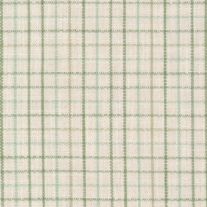 Maximus 3 Aloe by Stout Designer Fabric RAINBOW LIBRARY SAGE/CYPRESS 100%POL CHINA Horizontal: 2.500 and Vertical: 2.500 55 in - Swanky Fabrics -