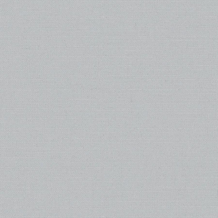 Martina # 105 Mist by Maxwell Designer Fabric Wide Width Basics Iii 100% POLYESTER INDIA 118" - Swanky Fabrics -