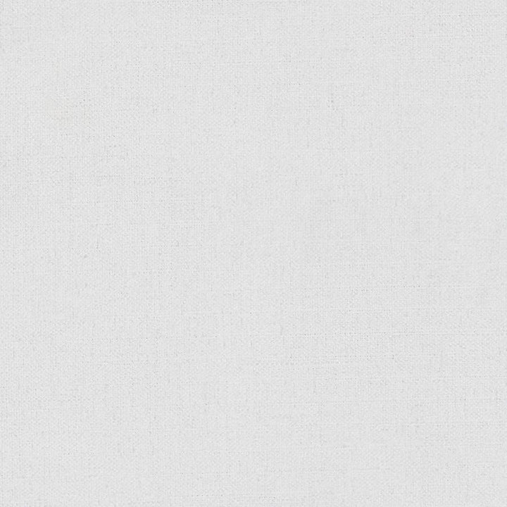 Martina # 147 Jasmine by Maxwell Designer Fabric Wide Width Basics Iii 100% POLYESTER INDIA 118" - Swanky Fabrics -