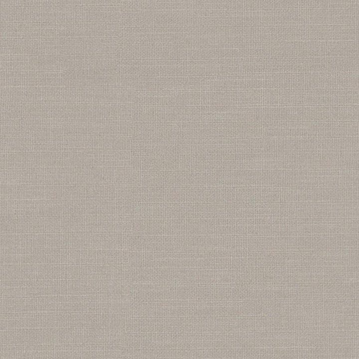 Martina # 167 Travertine by Maxwell Designer Fabric Wide Width Basics Iii 100% POLYESTER INDIA 118" - Swanky Fabrics -