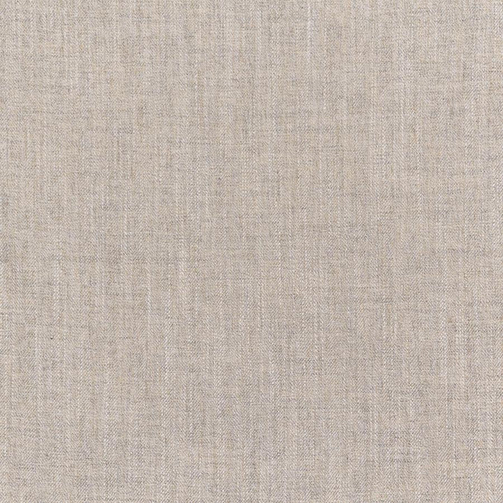 Manitoba # 229 Driftwood by Maxwell Designer Fabric Color Theory-Vol. Ix Marble 100% POLYESTER INDIA 54" - Swanky Fabrics -