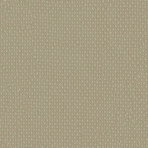 Nexus 6009 Taupe by ABBEYSHEA Designer Fabric