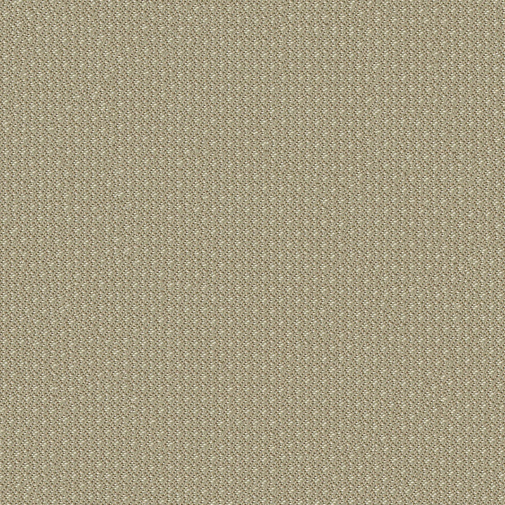 Nexus 6009 Taupe by ABBEYSHEA Designer Fabric 100% Polyester China </p><p>Repeat: Horizontal: 0.3" (0.8 cm) Up the Roll and Vertical: 0.3" (0.8 cm) Across the Roll 57" (144 cm) - Swanky Fabrics -