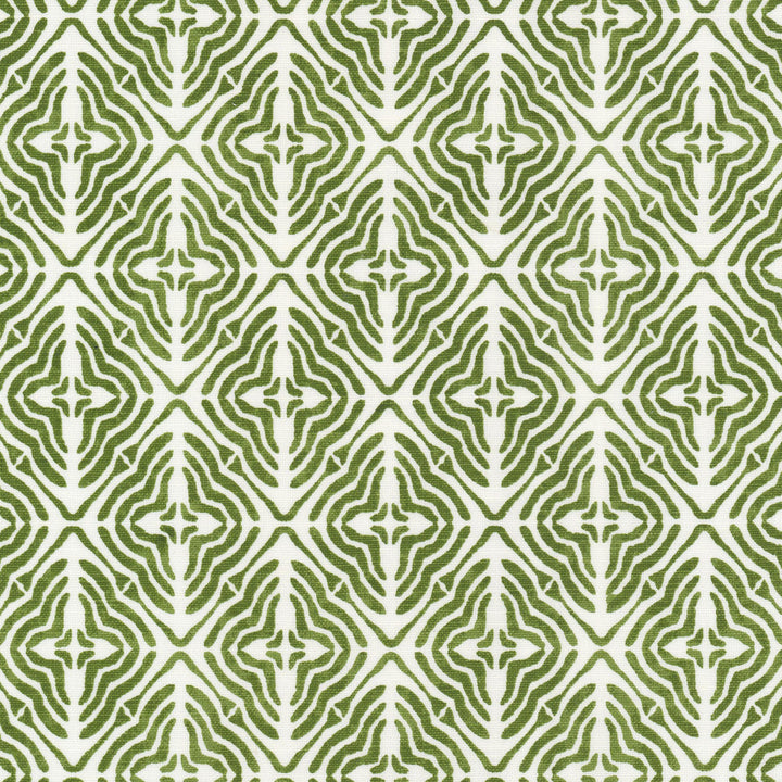 Megan 3 Avocado by Stout Designer Fabric RAINBOW LIBRARY SAGE/CYPRESS 58%LIN 42%COT INDIA Horizontal: 6.500 and Vertical: 7.500 54 in - Swanky Fabrics -