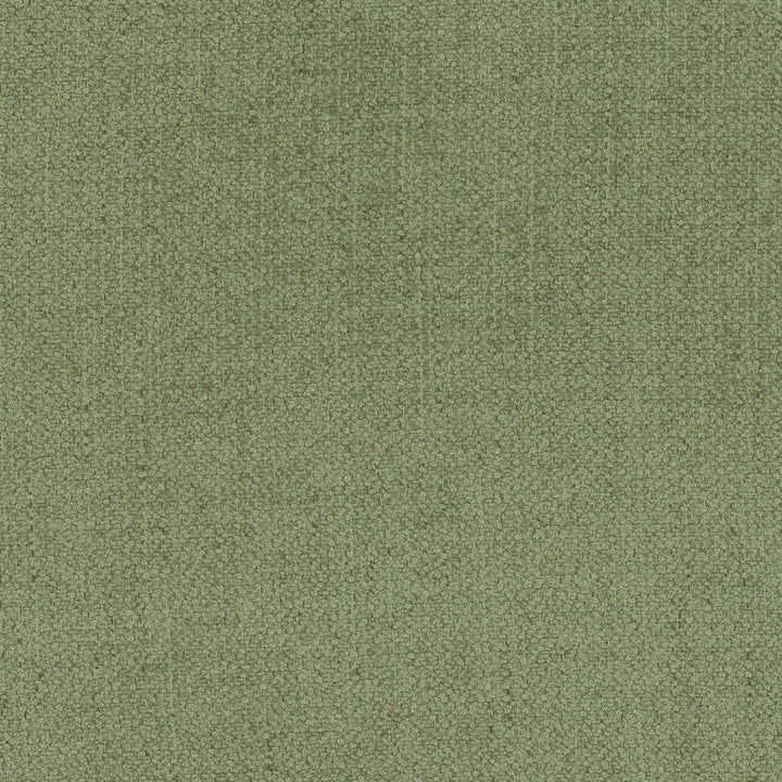 Menagerie 1 Moss by Stout Designer Fabric LIVING IS EASY ALOE/MINERAL 100%POL CHINA FLAME RETARDANT-U.F.A.C. CLASS 1 CATB 117-2013 WYZENBEEK 30 000 DOUBLE RUB WEAR TEST (HEAVY DUTY) Horizontal: 0.000 and Vertical: 20.750 56 in - Swanky Fabrics -