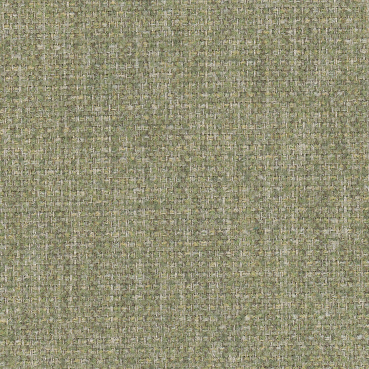 Meridian 1 Grass by Stout Designer Fabric LIVING IS EASY ALOE/MINERAL 100%POL CHINA CATB 117-2013 WYZENBEEK 50 000 DOUBLE RUB WEAR TEST (HEAVY DUTY) Horizontal: 0.000 and Vertical: 0.000 57 in - Swanky Fabrics -