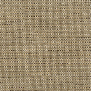 Mesquite 3 Driftwood by Sunbrella Designer Fabric