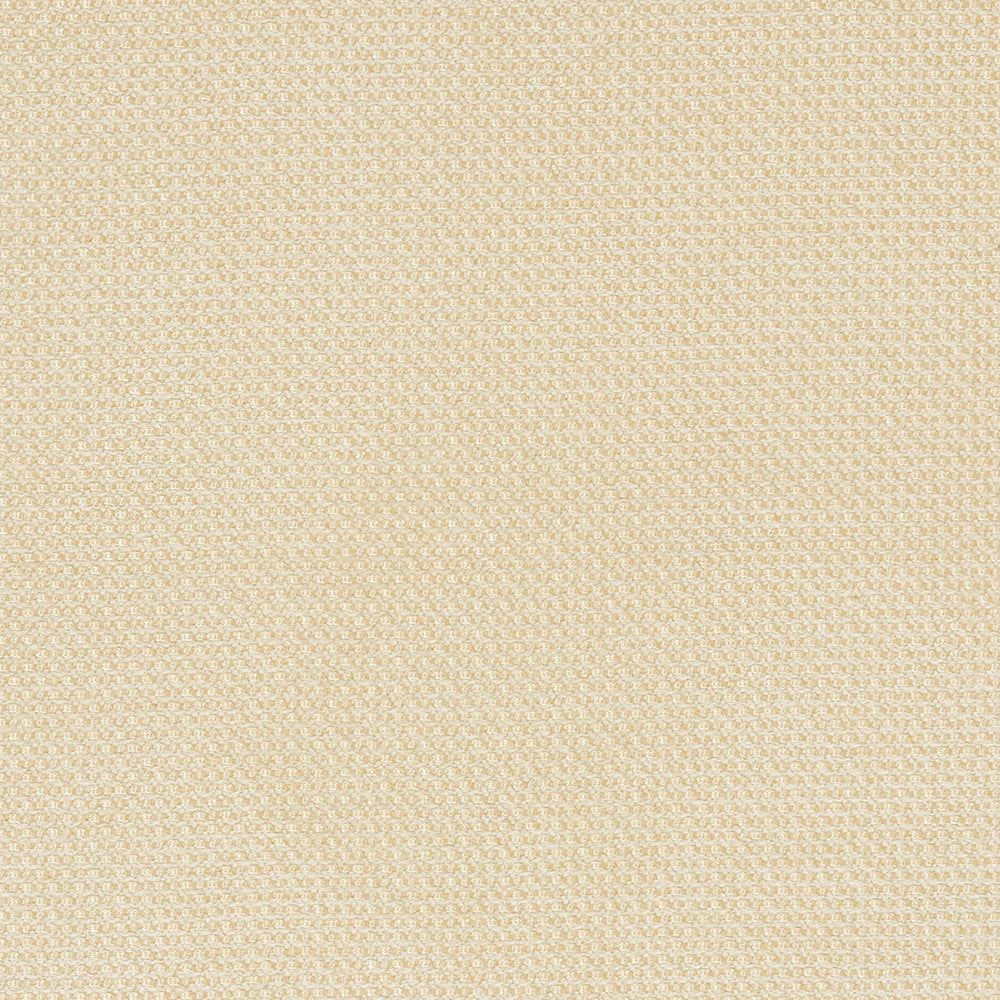Metuchen 4 Vanilla by Marcus William Designer Fabric KAI/MARCUS WILLIAM ARTEMIS 60%POL 30%SVI 10%COT INDIA Horizontal: 0.000 and Vertical: 0.000 55 in - Swanky Fabrics -