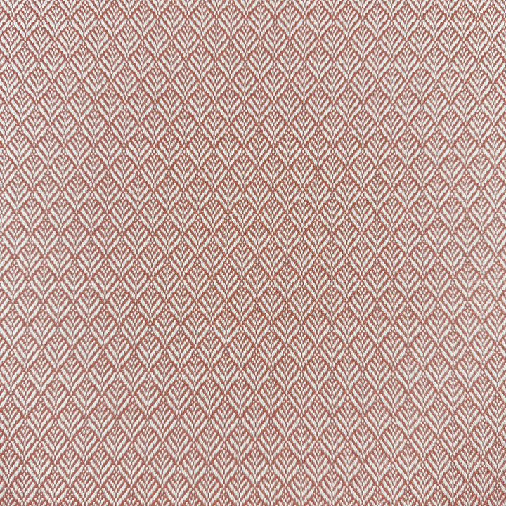Mimus Punch by Magnolia Designer Fabric - 100% Polyester China 60000 Horizontal: 0.5 and Vertical: 0.75 54 - Swanky Fabrics -