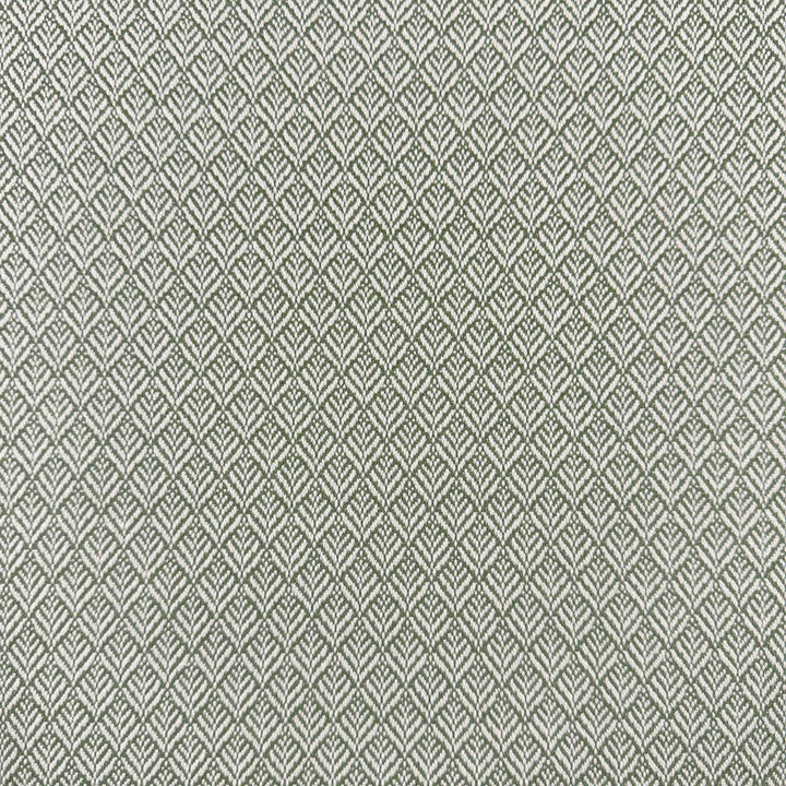 Mimus Rosemary by Magnolia Designer Fabric - 100% Polyester China 60000 Horizontal: 0.5 and Vertical: 0.75 54 - Swanky Fabrics -