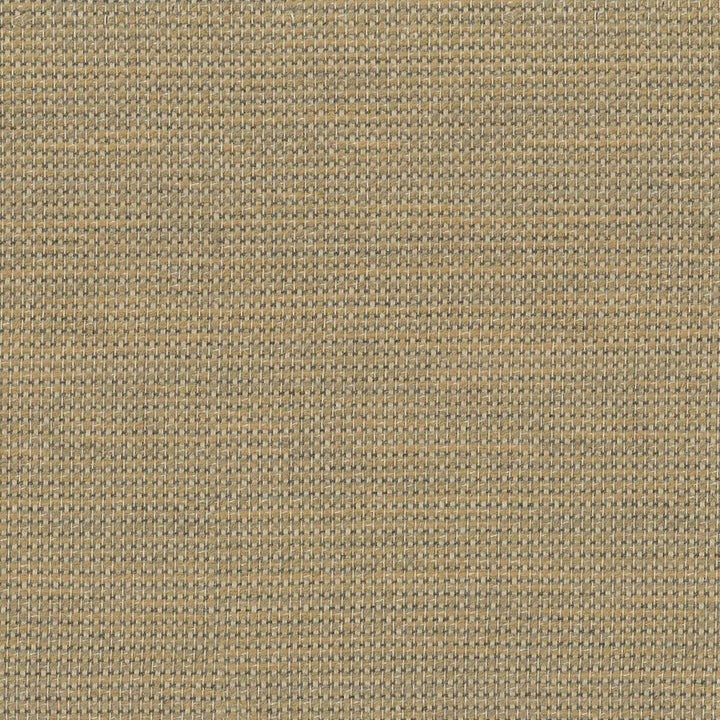 Mitcham 1 Tan by Sunbrella Designer Fabric SUNRISE SOLIDS BY SUNBRELLA 98%SN 2%POL USA FLAME RETARDANT-CA BULLETIN 117-SECTION E WYZENBEEK 15 000 DOUBLE RUB WEAR TEST (HEAVY DUTY) Horizontal: 0 and Vertical: 0 54 in - Swanky Fabrics -