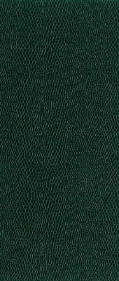 Moccasin-3 by Kravet Design Designer Fabric - NYLON - 100% United States LIGHT Horizontal: 0 and Vertical: 0 54 - Swanky Fabrics -