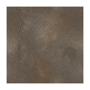 Modica Burnished by Kravet Couture Designer Fabric