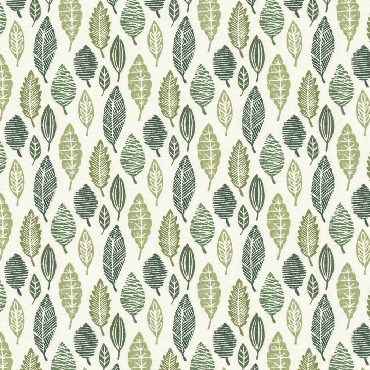 Molecule 2 Grass by Stout Fabric Stout Fabric Molecule 2 GrassFabric RAINBOW LIBRARY PISTACHIO/CHIVE 100%COT SPAIN </p><p>Repeat: H: 3.375, V: 6.750 54 in - Fabric Carolina -