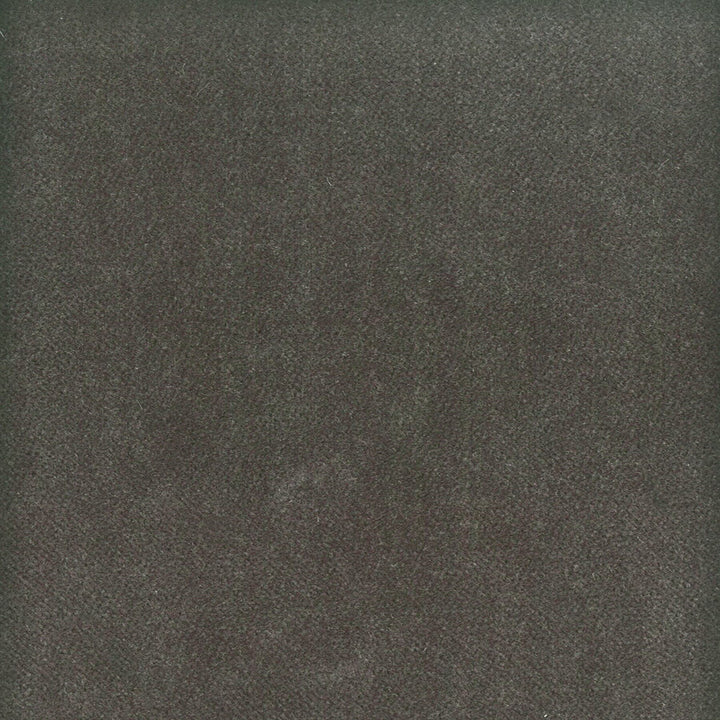 Moore 16 Flint by Stout Designer Fabric TIMELESS VELVETS 82%POL 18%COT SOUTH KOREA FLAME RETARDANT-U.F.A.C. CLASS 1 CATB 117-2013 WYZENBEEK 20 000 DOUBLE RUB WEAR TEST (HEAVY DUTY) Horizontal: 0 and Vertical: 0 54.75 in - Swanky Fabrics -