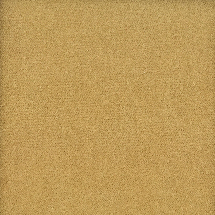 Moore 1 Caramel by Stout Fabric Stout Fabric Moore 1 CaramelFabric TIMELESS VELVETS SOUTH KOREA </p><p>Repeat: H: 0.000, V: 0.000 54.75 in - Fabric Carolina -