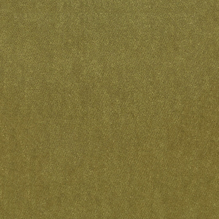 Moore 29 Chive by Stout Designer Fabric TIMELESS VELVETS 82%POL 18%COT SOUTH KOREA FLAME RETARDANT-U.F.A.C. CLASS 1 CATB 117-2013 WYZENBEEK 20 000 DOUBLE RUB WEAR TEST (HEAVY DUTY) Horizontal: 0 and Vertical: 0 54.75 in - Swanky Fabrics -