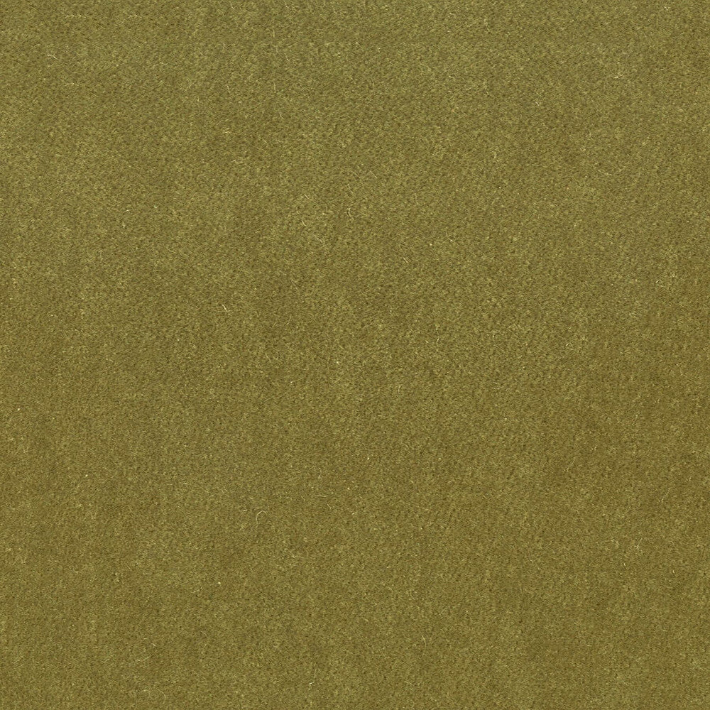 Moore 29 Chive by Stout Designer Fabric Timeless Velvets 82% Polyester 18% Cotton SOUTH KOREA FLAME RETARDANT-U.F.A.C. CLASS 1 (OR A) CATB 117-2013 WYZENBEEK 20 000 DOUBLE RUB WEAR TEST (HEAVY DUTY) Horizontal: 0 and Vertical: 0 54.75 in - Swanky Fabrics -