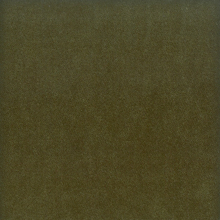 Moore 2 Jungle by Stout Fabric Stout Fabric Moore 2 JungleFabric TIMELESS VELVETS SOUTH KOREA </p><p>Repeat: H: 0.000, V: 0.000 54.75 in - Fabric Carolina -