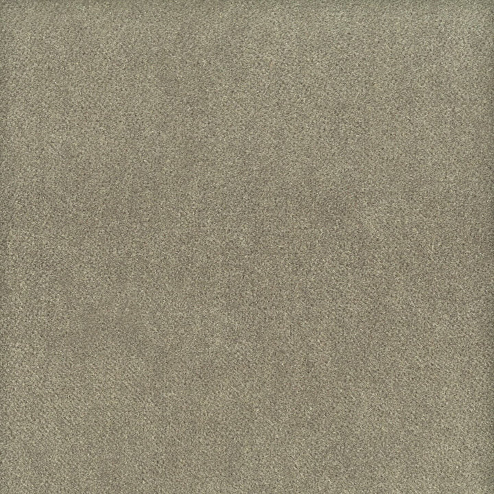 Moore 34 Nickel by Stout Designer Fabric TIMELESS VELVETS 82%POL 18%COT SOUTH KOREA FLAME RETARDANT-U.F.A.C. CLASS 1 CATB 117-2013 WYZENBEEK 20 000 DOUBLE RUB WEAR TEST (HEAVY DUTY) Horizontal: 0 and Vertical: 0 54.75 in - Swanky Fabrics -