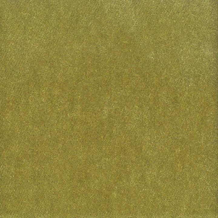 Moore 42 Avocado by Stout Fabric Stout Fabric Moore 42 AvocadoFabric TIMELESS VELVETS SOUTH KOREA </p><p>Repeat: H: 0.000, V: 0.000 54.75 in - Fabric Carolina -
