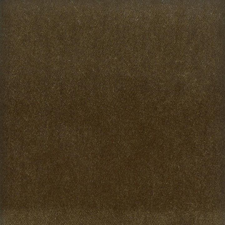 Moore 6 Twig by Stout Designer Fabric Timeless Velvets 82% Polyester 18% Cotton SOUTH KOREA FLAME RETARDANT-U.F.A.C. CLASS 1 (OR A) CATB 117-2013 WYZENBEEK 20 000 DOUBLE RUB WEAR TEST (HEAVY DUTY) Horizontal: 0 and Vertical: 0 54.75 in - Swanky Fabrics -