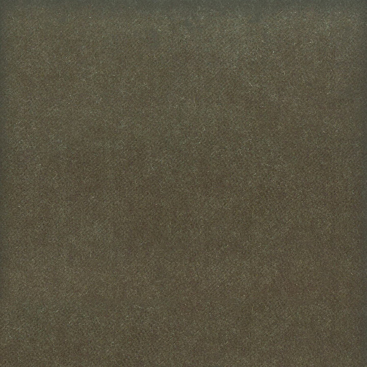 Moore 8 Shadow by Stout Designer Fabric TIMELESS VELVETS 82%POL 18%COT SOUTH KOREA FLAME RETARDANT-U.F.A.C. CLASS 1 CATB 117-2013 WYZENBEEK 20 000 DOUBLE RUB WEAR TEST (HEAVY DUTY) </p><p>Repeat: 0 54.75 in - Swanky Fabrics -