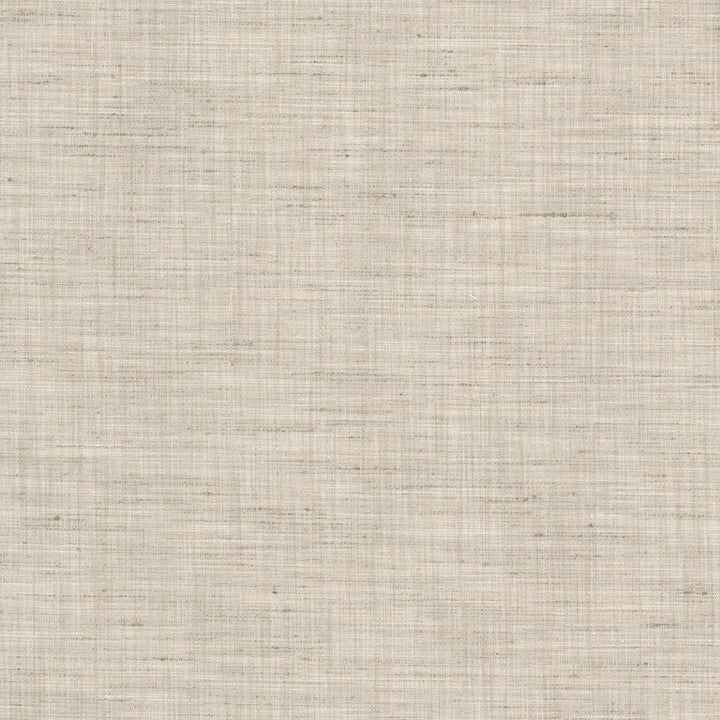 Mossy 1 Toffee by Stout Fabric Stout Fabric Mossy 1 ToffeeFabric COLOR MY WINDOW ALMOND/WHEAT 100%POL INDIA </p><p>Repeat: H: 0.000, V: 0.000 54.5 in - Fabric Carolina -